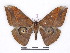  ( - BC-SK0313)  @14 [ ] Copyright (2010) Unspecified Research Collection of Steve Kohll