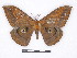  ( - BC-SK0314)  @13 [ ] Copyright (2010) Unspecified Research Collection of Steve Kohll