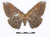  ( - BC-SK0319)  @13 [ ] Copyright (2010) Unspecified Research Collection of Steve Kohll