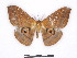  ( - BC-SK0320)  @13 [ ] Copyright (2010) Unspecified Research Collection of Steve Kohll