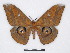  ( - BC-SK0321)  @13 [ ] Copyright (2010) Unspecified Research Collection of Steve Kohll