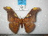  ( - barcode SNB 0121)  @13 [ ] Copyright (2010) Unspecified Research Collection of Stefan Naumann
