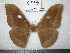  ( - barcode SNB 0122)  @13 [ ] Copyright (2010) Unspecified Research Collection of Stefan Naumann