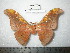  ( - barcode SNB 0123)  @13 [ ] Copyright (2010) Unspecified Research Collection of Stefan Naumann