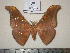  ( - barcode SNB 0176)  @13 [ ] Copyright (2010) Unspecified Research Collection of Stefan Naumann