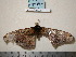  ( - barcode SNB 207)  @12 [ ] Copyright (2010) Unspecified Research Collection of Stefan Naumann