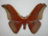  ( - barcode SNB 488)  @12 [ ] Copyright (2010) Unspecified Research Collection of Stefan Naumann