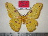  ( - barcode SNB 1139)  @11 [ ] Copyright (2010) Unspecified Research Collection of Stefan Naumann