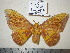  ( - barcode SNB 1156)  @13 [ ] Copyright (2010) Unspecified Research Collection of Stefan Naumann