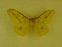  ( - barcode SNB 1541)  @11 [ ] Copyright (2010) Unspecified Research Collection of Stefan Naumann