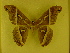  ( - barcode SNB 1554)  @12 [ ] Copyright (2010) Unspecified Research Collection of Stefan Naumann