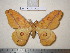  ( - barcode SNB 1634)  @11 [ ] Copyright (2010) Unspecified Research Collection of Stefan Naumann
