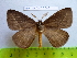  ( - barcode SNB 2546)  @13 [ ] Copyright (2010) Stefan Naumann Research Collection of Stefan Naumann