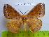  ( - barcode SNB 2550)  @14 [ ] Copyright (2010) Stefan Naumann Research Collection of Stefan Naumann