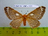  ( - barcode SNB 2569)  @14 [ ] Copyright (2010) Stefan Naumann Research Collection of Stefan Naumann