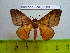  ( - barcode SNB 2580)  @13 [ ] Copyright (2010) Stefan Naumann Research Collection of Stefan Naumann