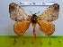  ( - barcode SNB 2584)  @13 [ ] Copyright (2010) Stefan Naumann Research Collection of Stefan Naumann