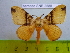  ( - barcode SNB 2588)  @14 [ ] Copyright (2010) Stefan Naumann Research Collection of Stefan Naumann