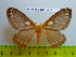  ( - barcode SNB 2589)  @14 [ ] Copyright (2010) Stefan Naumann Research Collection of Stefan Naumann