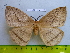  ( - barcode SNB 2941)  @12 [ ] Copyright (2010) Stefan Naumann Research Collection of Stefan Naumann