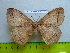  ( - barcode SNB 2959)  @12 [ ] Copyright (2010) Stefan Naumann Research Collection of Stefan Naumann