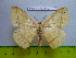  ( - barcode SNB 2979)  @13 [ ] Copyright (2010) Stefan Naumann Research Collection of Stefan Naumann