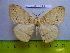  ( - barcode SNB 2980)  @13 [ ] Copyright (2010) Stefan Naumann Research Collection of Stefan Naumann