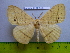  ( - barcode SNB 2988)  @13 [ ] Copyright (2010) Stefan Naumann Research Collection of Stefan Naumann