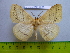  ( - barcode SNB 2989)  @13 [ ] Copyright (2010) Stefan Naumann Research Collection of Stefan Naumann