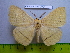  ( - barcode SNB 2994)  @14 [ ] Copyright (2010) Stefan Naumann Research Collection of Stefan Naumann
