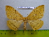  ( - barcode SNB 3000)  @13 [ ] Copyright (2010) Stefan Naumann Research Collection of Stefan Naumann