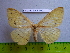  ( - barcode SNB 3003)  @13 [ ] Copyright (2010) Stefan Naumann Research Collection of Stefan Naumann