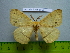  ( - barcode SNB 3008)  @14 [ ] Copyright (2010) Stefan Naumann Research Collection of Stefan Naumann
