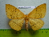  ( - barcode SNB 3011)  @13 [ ] Copyright (2010) Stefan Naumann Research Collection of Stefan Naumann
