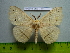  ( - barcode SNB 3014)  @13 [ ] Copyright (2010) Stefan Naumann Research Collection of Stefan Naumann