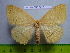  ( - barcode SNB 3015)  @13 [ ] Copyright (2010) Stefan Naumann Research Collection of Stefan Naumann