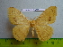  ( - barcode SNB 3018)  @12 [ ] Copyright (2010) Stefan Naumann Research Collection of Stefan Naumann