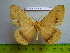  ( - barcode SNB 3019)  @13 [ ] Copyright (2010) Stefan Naumann Research Collection of Stefan Naumann