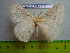  ( - barcode SNB 3024)  @12 [ ] Copyright (2010) Stefan Naumann Research Collection of Stefan Naumann