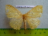  ( - barcode SNB 3025)  @12 [ ] Copyright (2010) Stefan Naumann Research Collection of Stefan Naumann