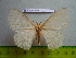  ( - barcode SNB 3027)  @13 [ ] Copyright (2010) Stefan Naumann Research Collection of Stefan Naumann