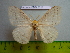  ( - barcode SNB 3028)  @12 [ ] Copyright (2010) Stefan Naumann Research Collection of Stefan Naumann