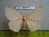  ( - barcode SNB 3031)  @12 [ ] Copyright (2010) Stefan Naumann Research Collection of Stefan Naumann
