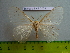  ( - barcode SNB 3033)  @12 [ ] Copyright (2010) Stefan Naumann Research Collection of Stefan Naumann