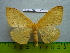  ( - barcode SNB 3036)  @12 [ ] Copyright (2010) Stefan Naumann Research Collection of Stefan Naumann