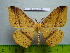  ( - barcode SNB 3037)  @13 [ ] Copyright (2010) Stefan Naumann Research Collection of Stefan Naumann