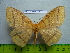  ( - barcode SNB 3039)  @12 [ ] Copyright (2010) Stefan Naumann Research Collection of Stefan Naumann