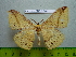  ( - barcode SNB 3040)  @12 [ ] Copyright (2010) Stefan Naumann Research Collection of Stefan Naumann