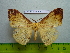 ( - barcode SNB 3041)  @12 [ ] Copyright (2010) Stefan Naumann Research Collection of Stefan Naumann