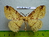  ( - barcode SNB 3042)  @13 [ ] Copyright (2010) Stefan Naumann Research Collection of Stefan Naumann